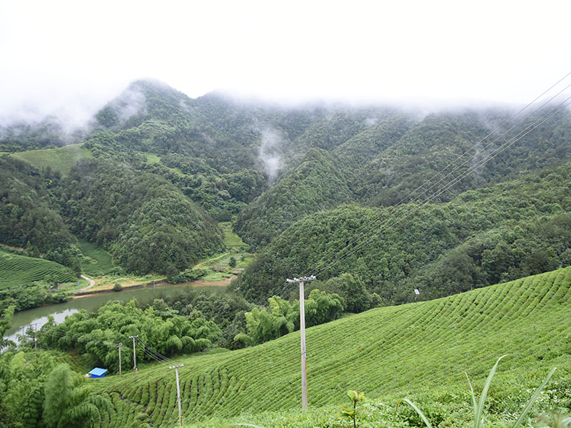 基地照片-13